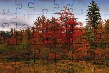 fiery colors of fall