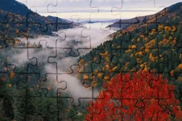 foggy fall view