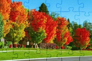 פאזל של otoÃ±o