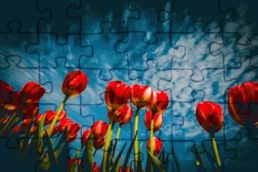 image jigsaw puzzle