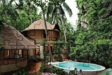 selva jigsaw puzzle