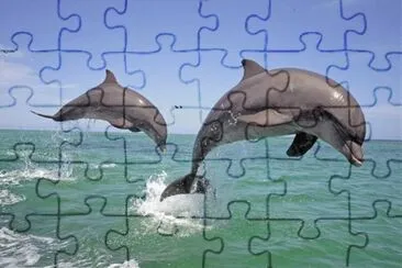 UN PAR DE SALTARINES jigsaw puzzle