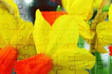 foto jigsaw puzzle