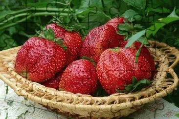 frutas