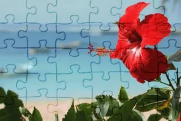TULIPÃN EN ISLA MAURICIO jigsaw puzzle