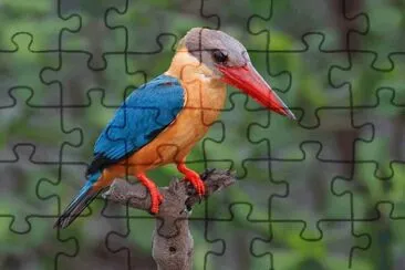 . jigsaw puzzle