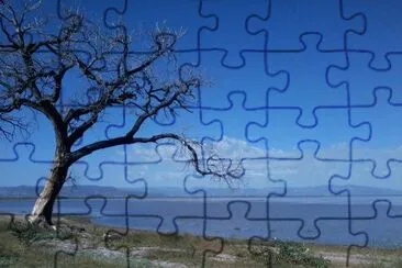 dolly.zahe jigsaw puzzle