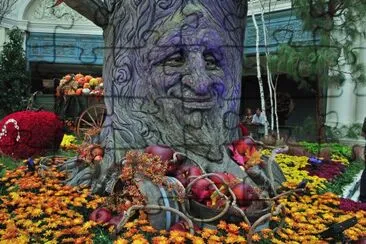 Bellagio Conservatory, Las Vegas