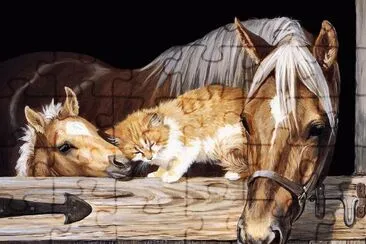 Horse and cat