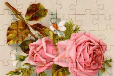 576u8z jigsaw puzzle