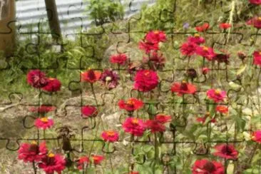 flores jigsaw puzzle
