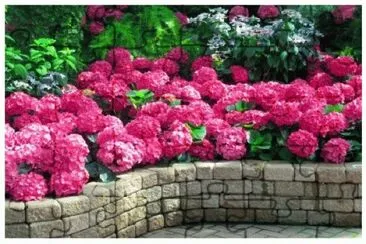 image jigsaw puzzle