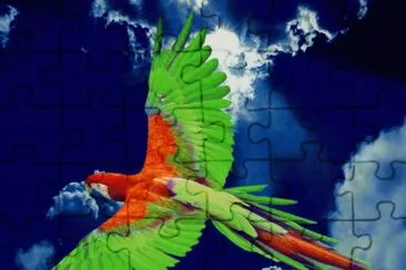 87j6gf56 jigsaw puzzle