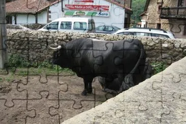 פאזל של CANTABRIA