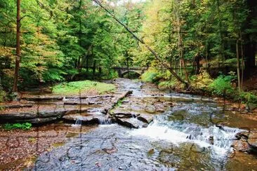 Stream