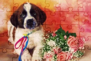 gosset jigsaw puzzle