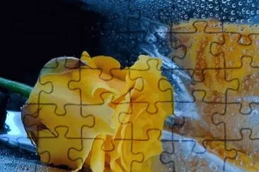 Rosa jigsaw puzzle