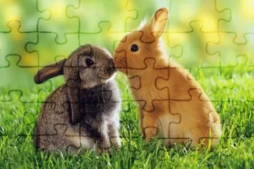 bunny jigsaw puzzle