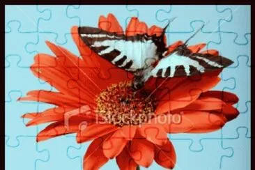 image jigsaw puzzle