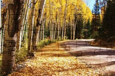 Kebler Pass, Colorado