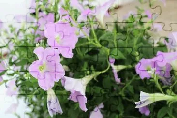 Folhagem jigsaw puzzle