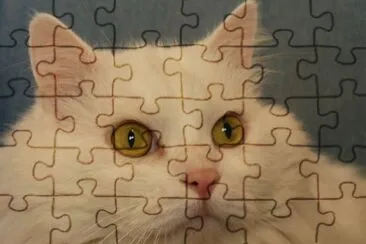 Olhar profundo jigsaw puzzle