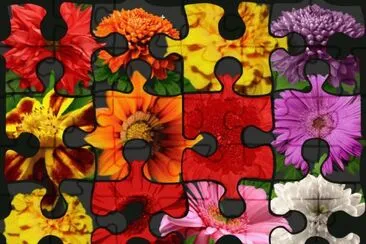 hgtfr jigsaw puzzle