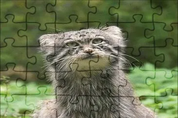 . jigsaw puzzle