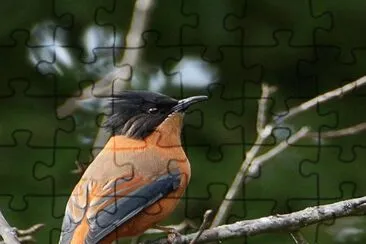 . jigsaw puzzle