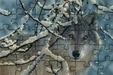 wolf in snow