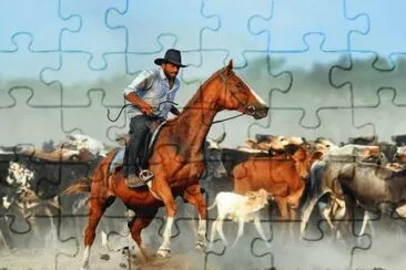 פאזל של WILD WEST.