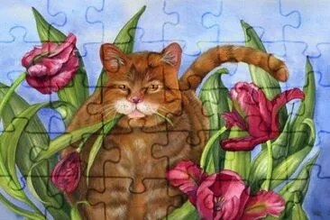 Gatos