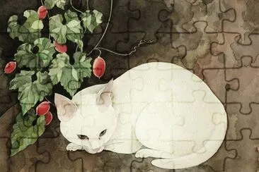 Gatos