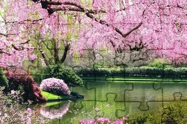 hermoso jigsaw puzzle