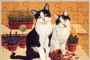 פאזל של Gatos
