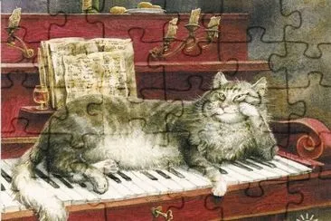 Gatos