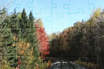 Fall colours along train tracks