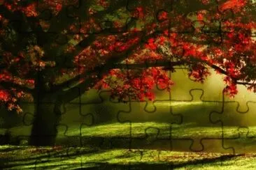 image jigsaw puzzle