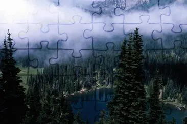 15 jigsaw puzzle