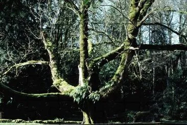 7 jigsaw puzzle