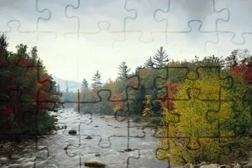 5 jigsaw puzzle