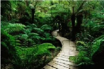 natureza jigsaw puzzle