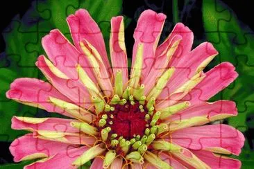foto jigsaw puzzle
