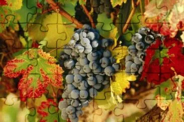 oct28 jigsaw puzzle