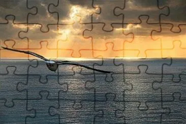d jigsaw puzzle