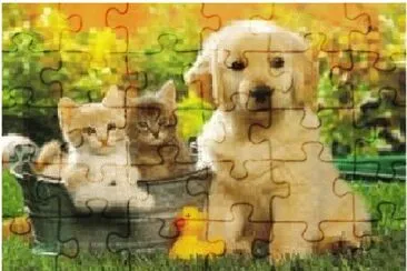 animais jigsaw puzzle