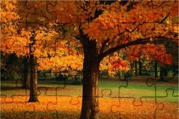 Autumn