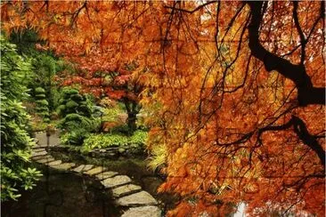 Autumn