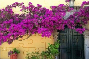 Bouganville in Greece jigsaw puzzle