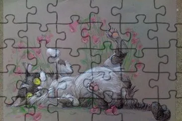 Gatos